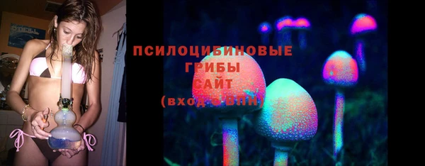 трава Богородицк