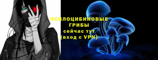 трава Богородицк