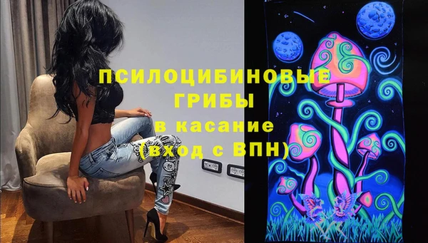 трава Богородицк
