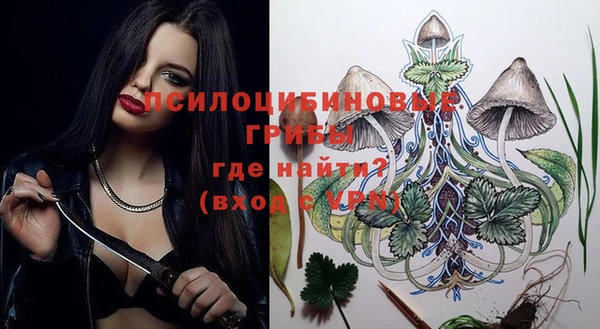 винт Богданович