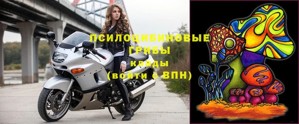 винт Богданович
