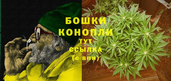винт Богданович